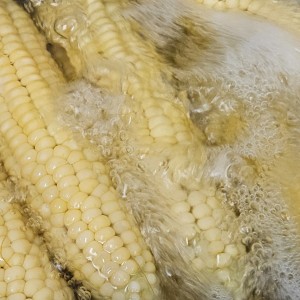 삶은 옥수수 8팩(24송이)