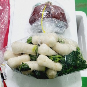 DIY알타리김치 알타리절임4KG+양념1KG