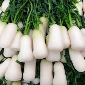 알타리절임 국내산 20kg